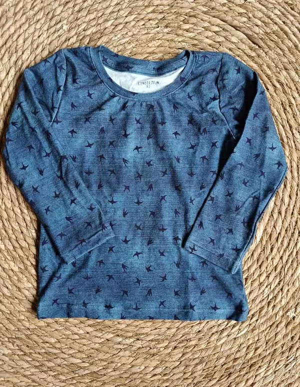 Trui vogels blauw
